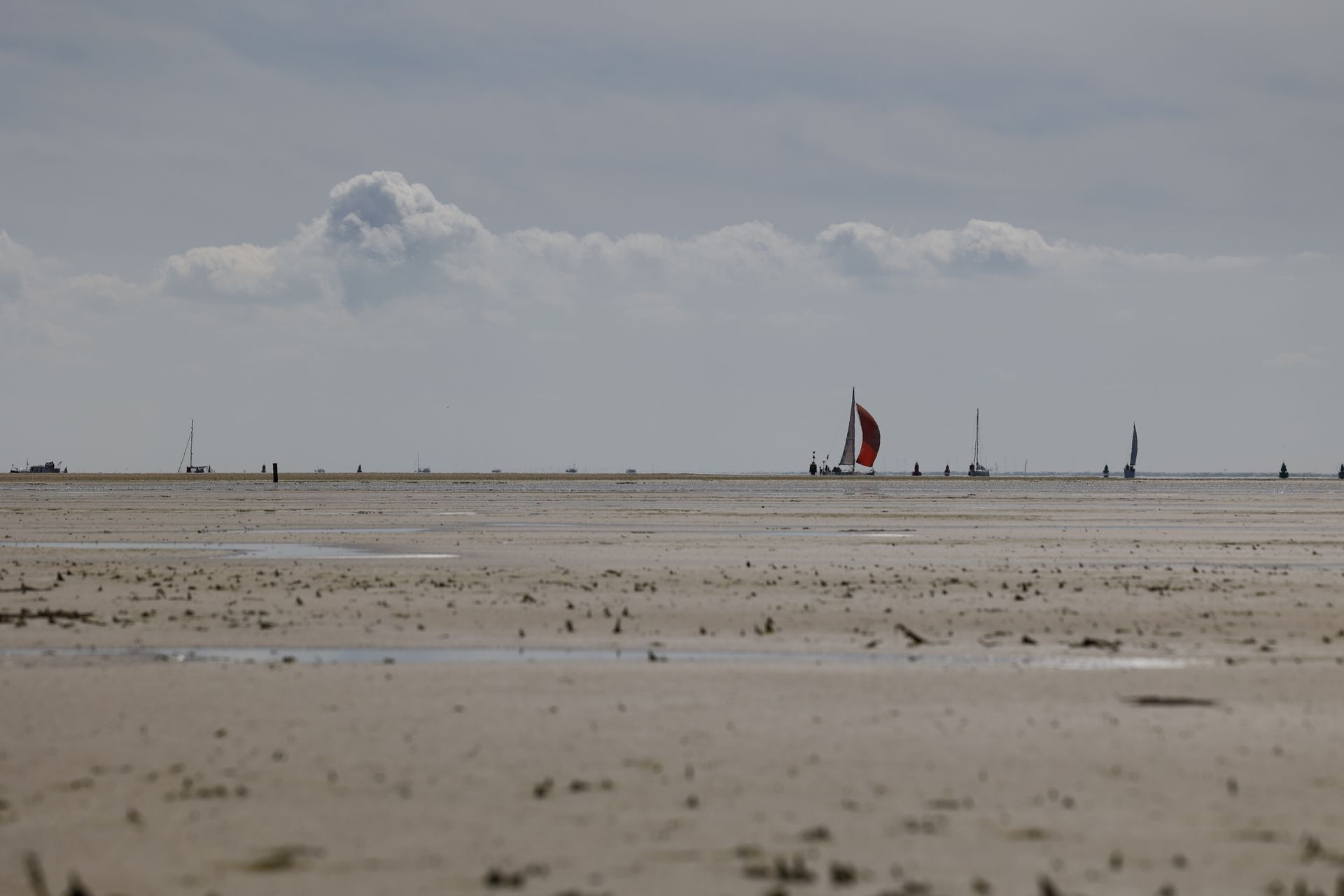Wad bij laagtij met zeilboten en een rode spinnaker onder een wolkenlucht, Terschelling