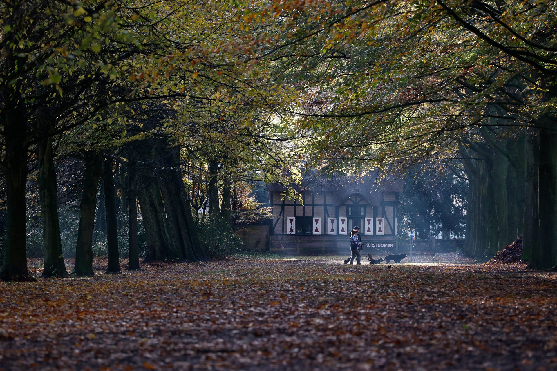 Herfstlicht door de bomen met wandelaars in Park Clingendael