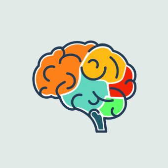 Brain (symptoms) web image